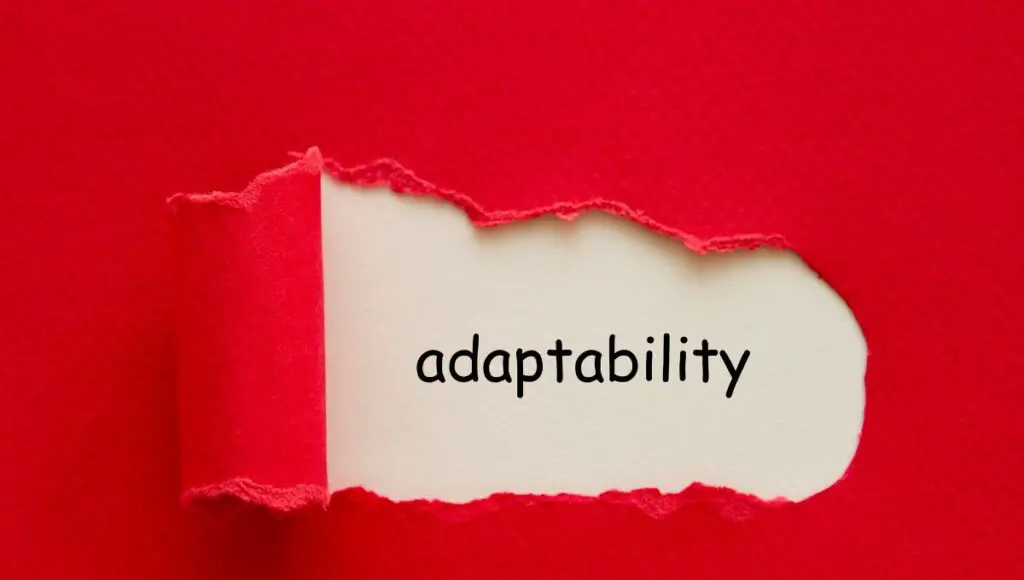 What makes an AI model high-performing and adaptable?